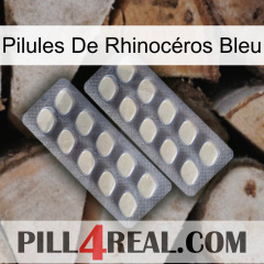 Pilules De Rhinocéros Bleu 07